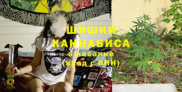 ECSTASY Дмитровск