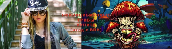 дмт Алзамай