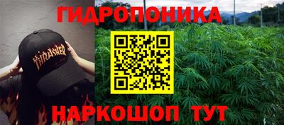 a pvp Севастополь