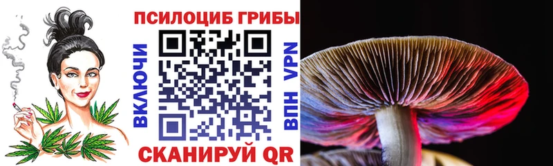 Галлюциногенные грибы Psilocybe Ревда