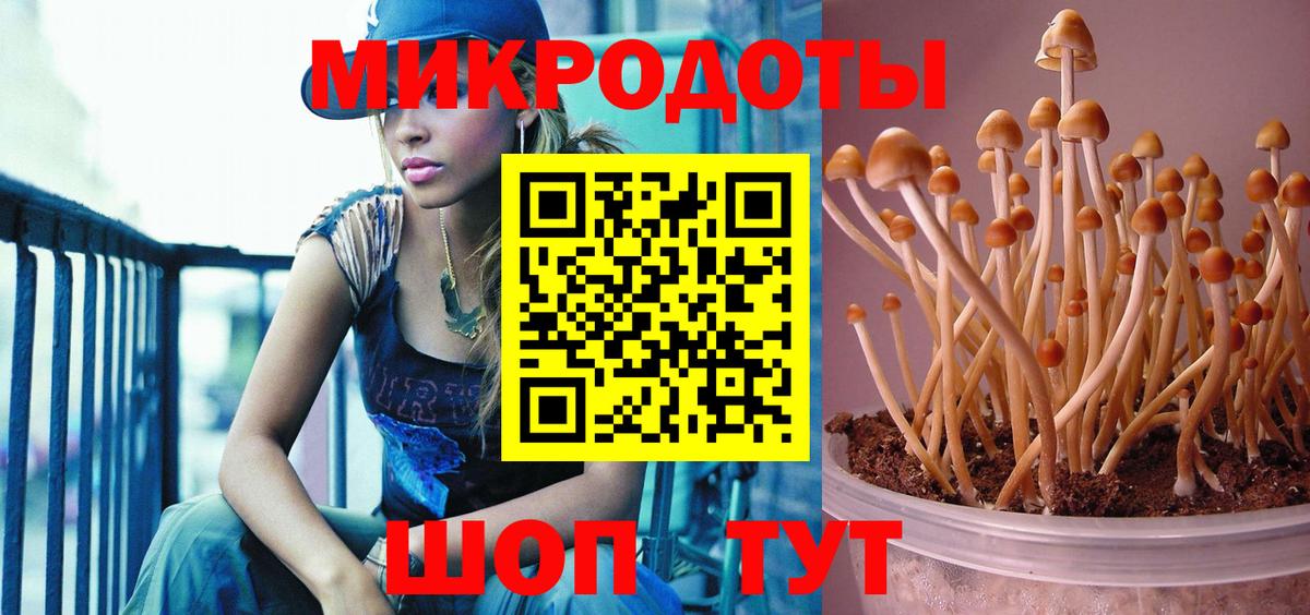 Ревда  Галлюциногенные грибы прущие грибы  Вход с VPN 