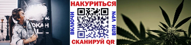 Бошки марихуана Bruce Banner  сколько стоит  Ревда 